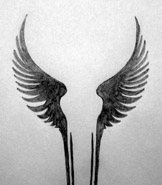 Valkyrie wings tattoo